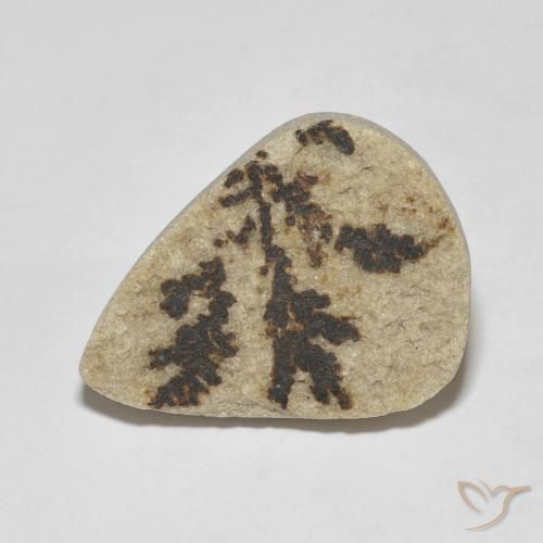 11.56ct Natural Multicolor Dendrita de psilomelano, En forma de pera, Opaco