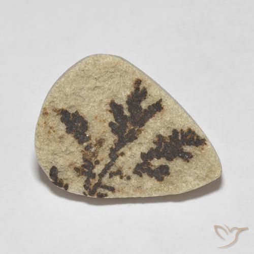Dendrita de psilomelano Multicolor natural de 11.56 ct, En forma de pera, Opaco