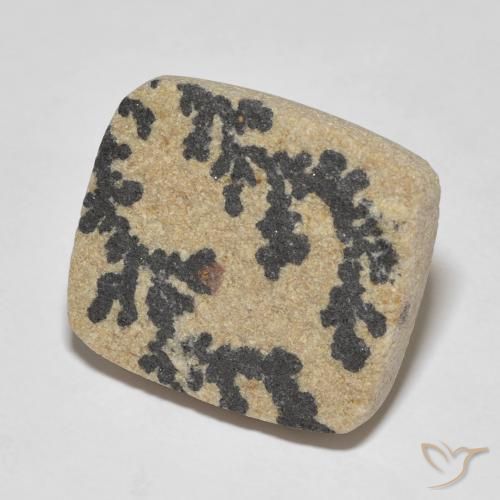 Dendrita de psilomelano Multicolor natural de 25.75 ct, Forma Cojín, Opaco