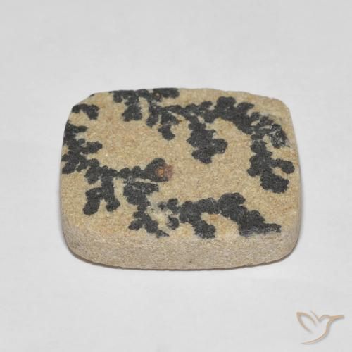 Dendrita de psilomelano Multicolor natural de 25.75 ct, Forma Cojín, Opaco