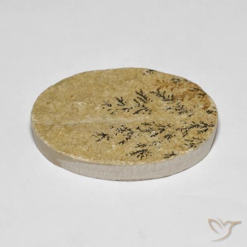 Dendrita de psilomelano Multicolor natural de 35.98 ct, Ovalada, Opaco