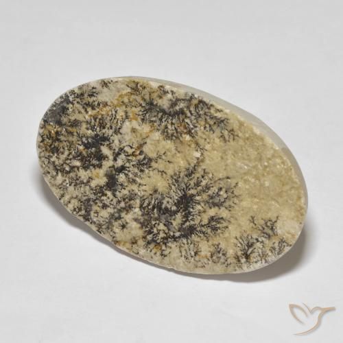 Dendrita de psilomelano Multicolor natural de 37.32 ct, Ovalada, Opaco