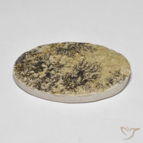 Dendrita de psilomelano Multicolor natural de 37.32 ct, Ovalada, Opaco