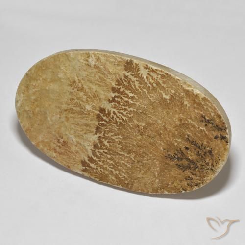 Dendrita de psilomelano Multicolor natural de 114.72 ct, Ovalada, Opaco
