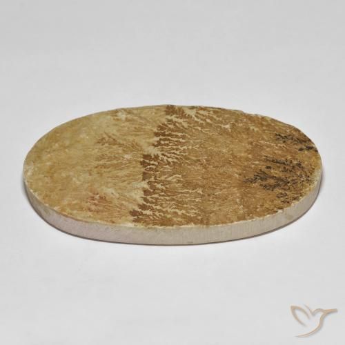 Dendrita de psilomelano Multicolor natural de 114.72 ct, Ovalada, Opaco