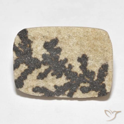 18.24ct Natural Multicolor Dendrita de psilomelano, Forma Cojín, Opaco