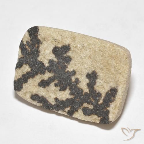 Dendrita de psilomelano Multicolor natural de 18.24 ct, Forma Cojín, Opaco