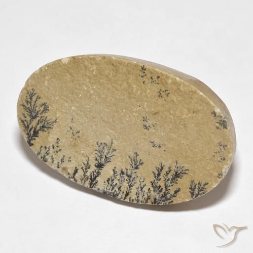 Dendrita de psilomelano Multicolor natural de 52.94 ct, Ovalada, Opaco