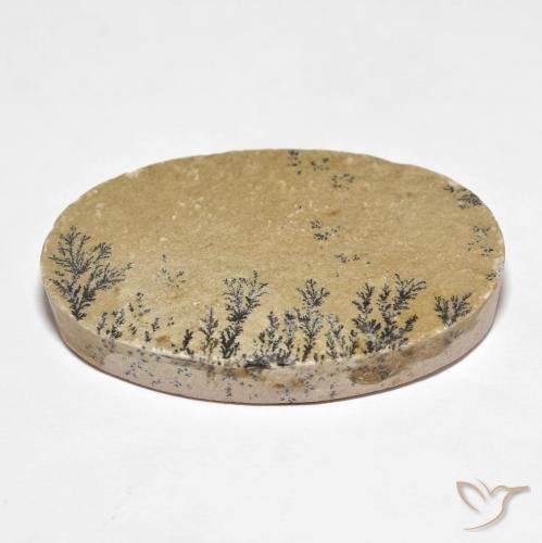 Dendrita de psilomelano Multicolor natural de 52.94 ct, Ovalada, Opaco