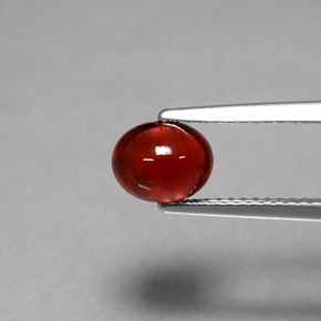 Granate Piropo Roja natural de 1.70 ct, Corte Óvalo, Translúcido