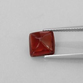 Granate piropo rojo natural de 2,94 ct, transparente, transparente / translúcido