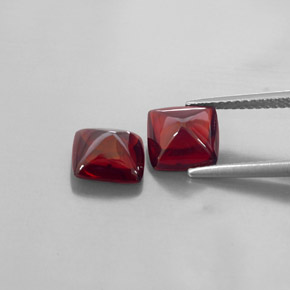 Gemas de granate piropo rojo natural de  ct, transparente, transparente / translúcido