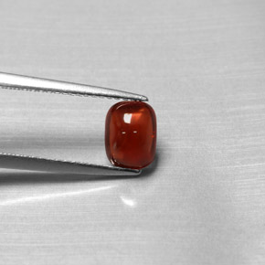 Granate piropo rojo natural de 1,47 ct, transparente, transparente / translúcido