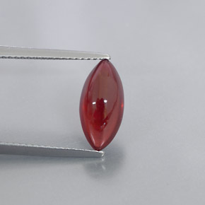 Granate piropo rojo natural de 3,08 ct, transparente, transparente / translúcido