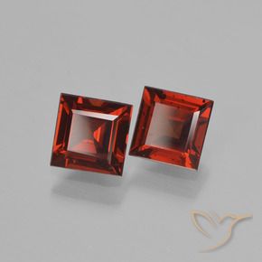 Gemas de Granate piropo Rojo oscuro natural de 1.55 ct, Cuadrado, VVS-VS