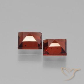 Gemas de Granate piropo Rojo oscuro natural de 1.55 ct, Cuadrado, VVS-VS