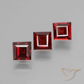 Gemas de Granate piropo Rojo sangre intenso natural de 1.70 ct, Cuadrado, VS