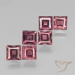 Gemas de Granate piropo Rojo oscuro natural de 2.78 ct, Cuadrado, VS
