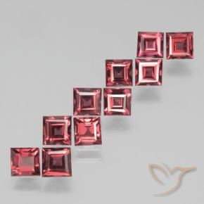 Gemas de Granate piropo Rojo escarlata natural de 3.82 ct, Cuadrado, VS