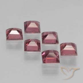 Gemas de Granate piropo Rojo oscuro natural de 2.69 ct, Cuadrado, VS