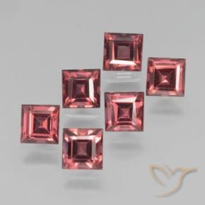 Gemas de Granate piropo Rojo medio natural de 2.74 ct, Cuadrado, VS