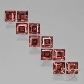 Gemas de Granate piropo Rojo escarlata natural de 4.94 ct, Cuadrado, VS