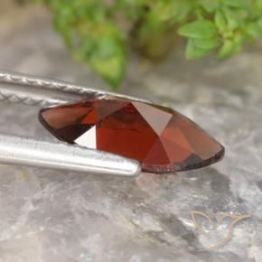 Granate piropo Rojo oscuro natural de 1.36 ct, Marquesa, VVS-VS