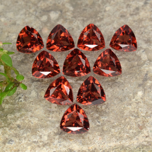 Gemas de Granate Piropo Rojo claro natural de 3.00 ct, Trillón, VS