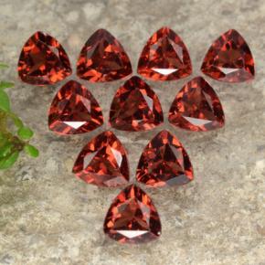 Gemas de Granate Piropo Rojo claro natural de 3.00 ct, Trillón, VS