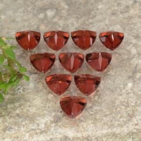 Gemas de Granate Piropo Rojo claro natural de 3.00 ct, Trillón, VS