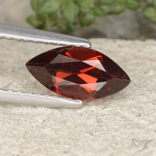 1.25ct Natural Rojo oscuro medio Granate piropo, Marquesa, VVS-VS
