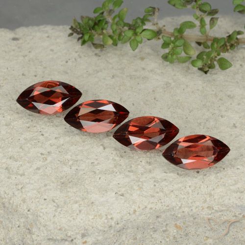 4.89ctw Natural Rojo oscuro Granate piropo, Marquesa, VVS-VS