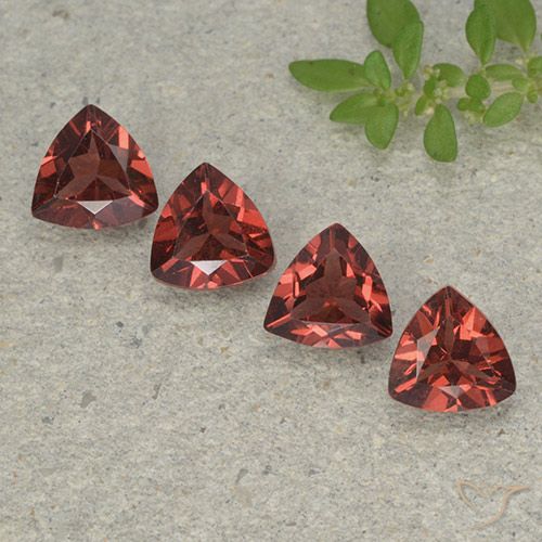 3.25ctw Natural Rojo oscuro medio Granate piropo, Trillón, VVS-VS