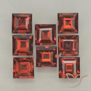 Gemas de Granate piropo Rojo escarlata natural de 3.67 ct, Cuadrado, VVS-VS