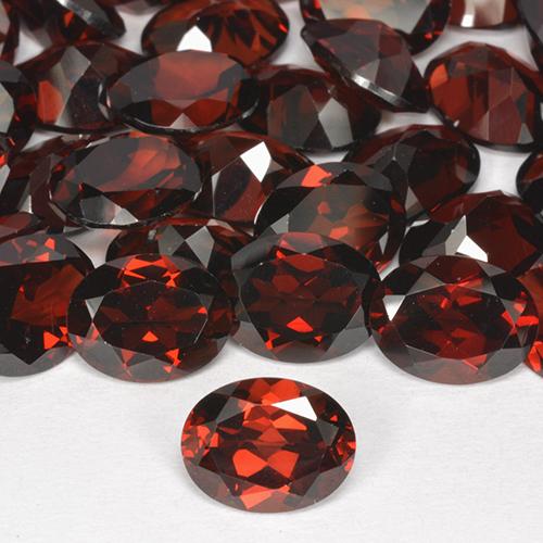 Gemas de Granate Piropo Roja natural de 8.73 ct, Corte Óvalo, VVS-VS