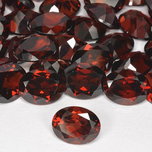 Gemas de Granate Piropo Roja natural de 8.73 ct, Corte Óvalo, VVS-VS