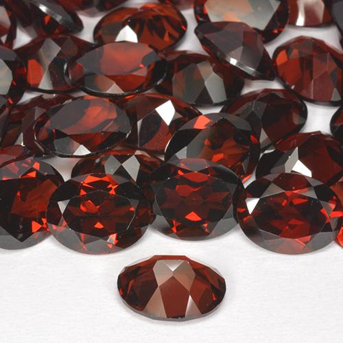 Gemas de Granate Piropo Roja natural de 8.73 ct, Corte Óvalo, VVS-VS