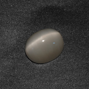 Quartz cat's eye gris natural de 3,42 ct, corte óvalo, opaco