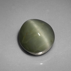 Quartz cat's eye verde natural de 5,45 ct, corte óvalo, opaco