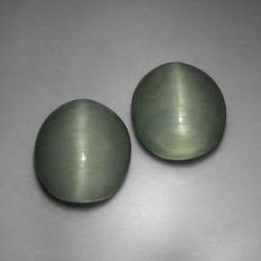 Gemas de Cuarzo Ojo de Gato Verde natural de  ct, Corte Óvalo, Opaco