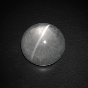 Quartz cat's eye blanco natural de 9,02 ct, corte redondo, transparente