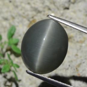 Quartz cat's eye gris natural de 7,96 ct, corte óvalo, opaco