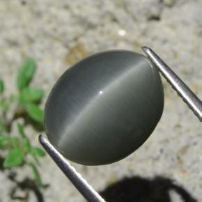 Quartz cat's eye gris natural de 7,96 ct, corte óvalo, opaco
