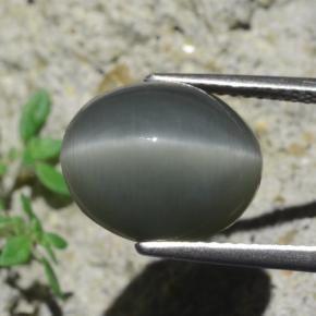 Quartz cat's eye gris natural de 7,96 ct, corte óvalo, opaco