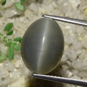 Cuarzo Ojo de Gato Verde gris natural de 8.08 ct, Corte Óvalo, Translúcido