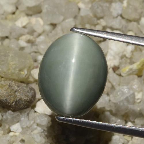6.06ct Natural Verde medio Cuarzo Ojo de Gato, Ovalada, Opaco
