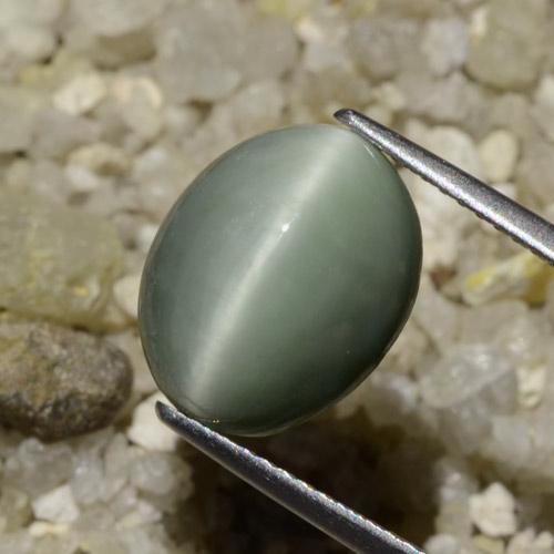 Cuarzo Ojo de Gato Verde medio natural de 6.06 ct, Ovalada, Opaco