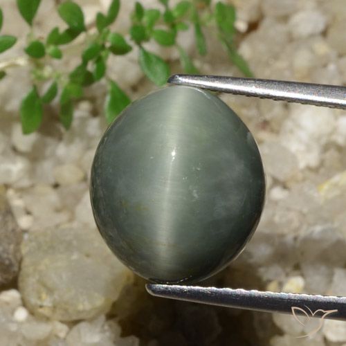 7.74ct Natural Verde medio Cuarzo Ojo de Gato, Ovalada, Opaco