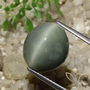 Cuarzo Ojo de Gato Verde medio natural de 7.74 ct, Ovalada, Opaco