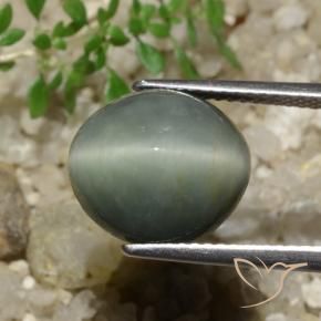 Cuarzo Ojo de Gato Verde medio natural de 7.74 ct, Ovalada, Opaco